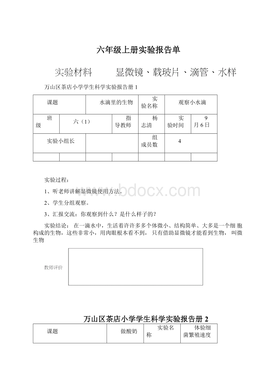 六年级上册实验报告单.docx