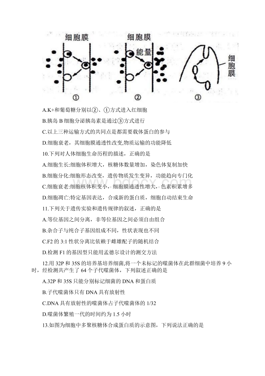 高考模拟陕西省榆林市届高三高考模拟第一次测试生物试题Word版含答案Word下载.docx_第3页