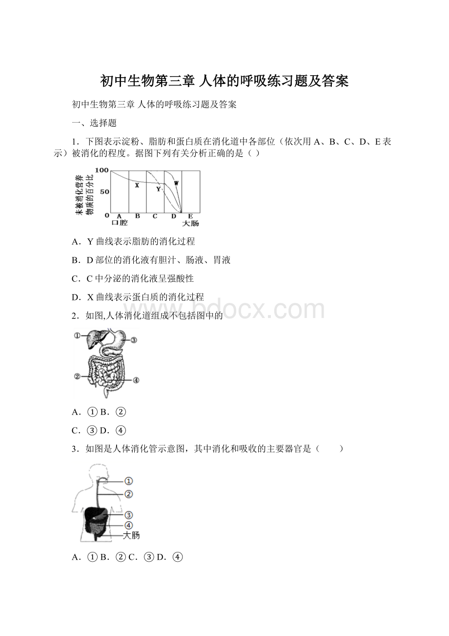 初中生物第三章 人体的呼吸练习题及答案Word下载.docx