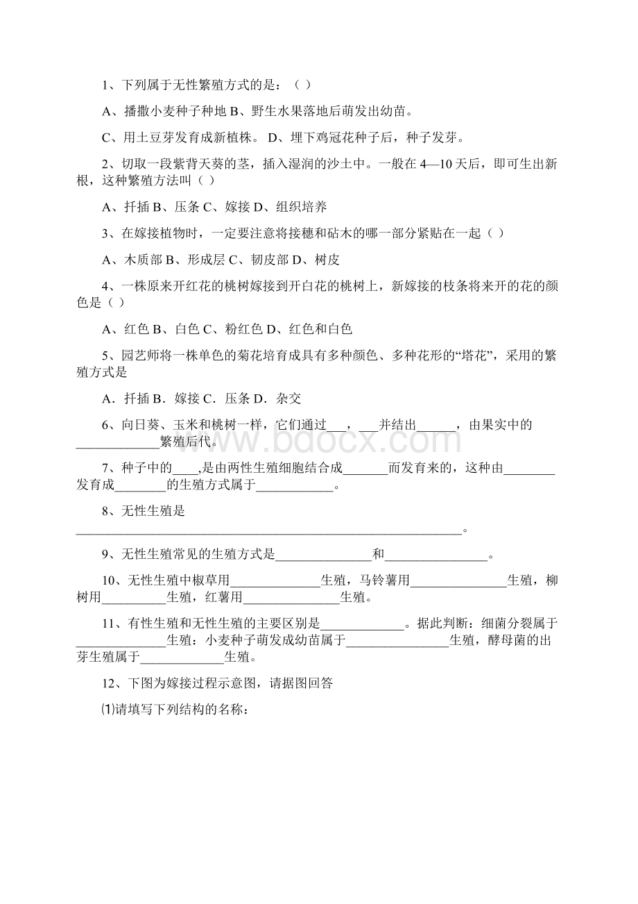 八年级生物下册导学案Word文档格式.docx_第3页