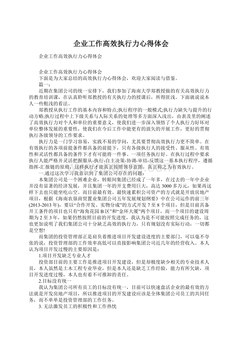 企业工作高效执行力心得体会文档格式.docx