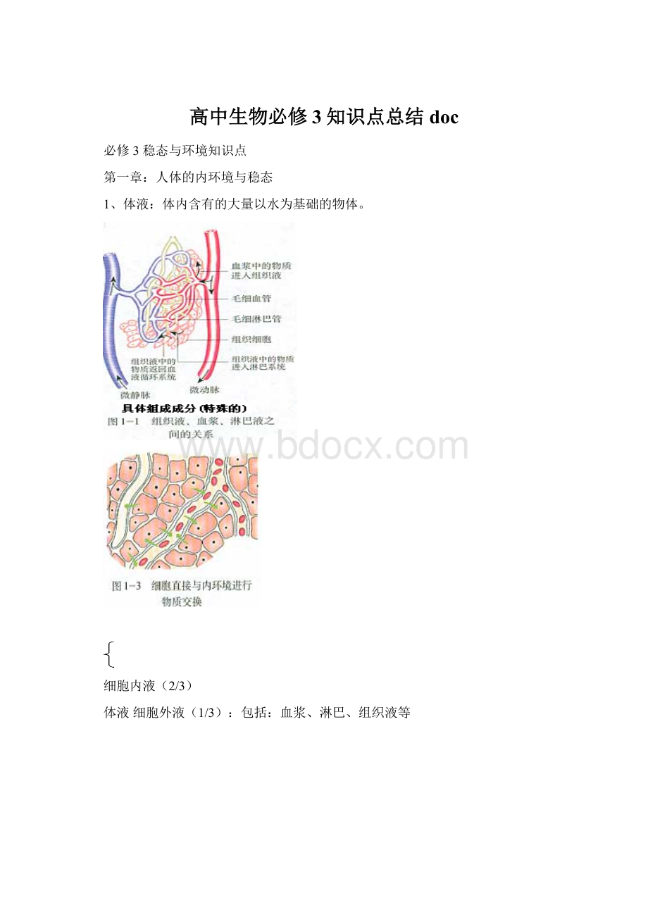 高中生物必修3知识点总结doc.docx_第1页