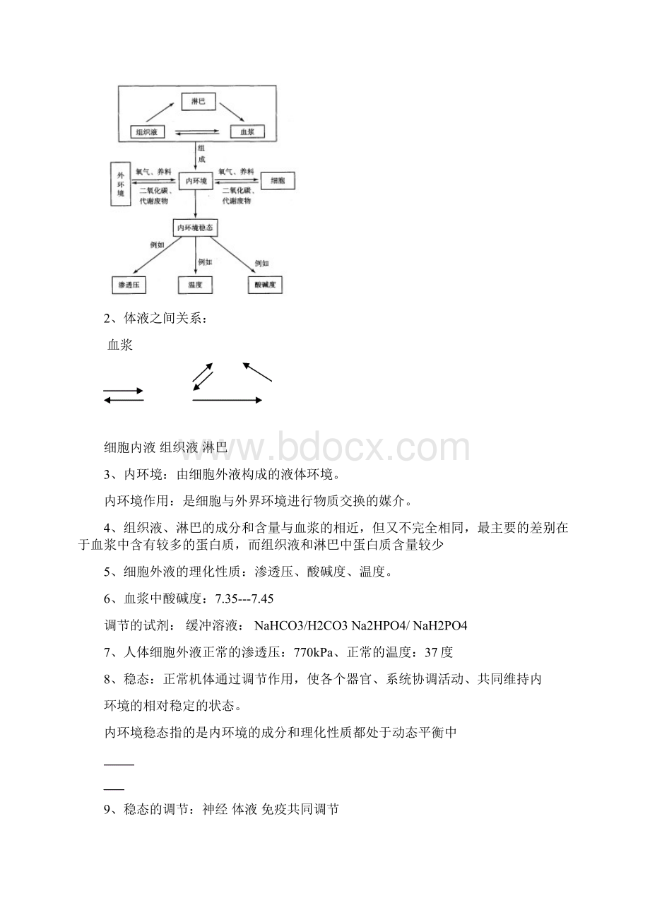 高中生物必修3知识点总结doc.docx_第2页