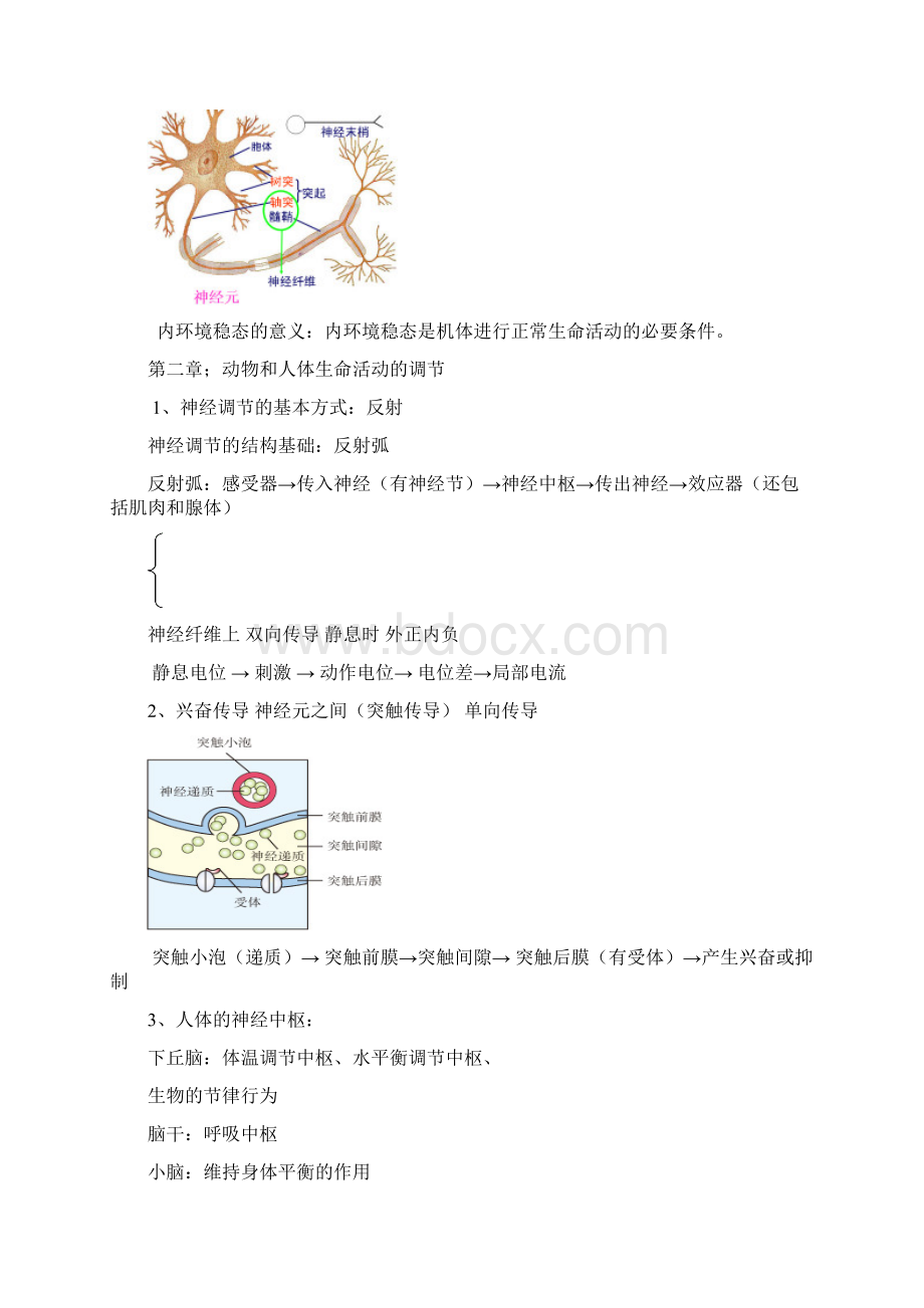 高中生物必修3知识点总结doc.docx_第3页