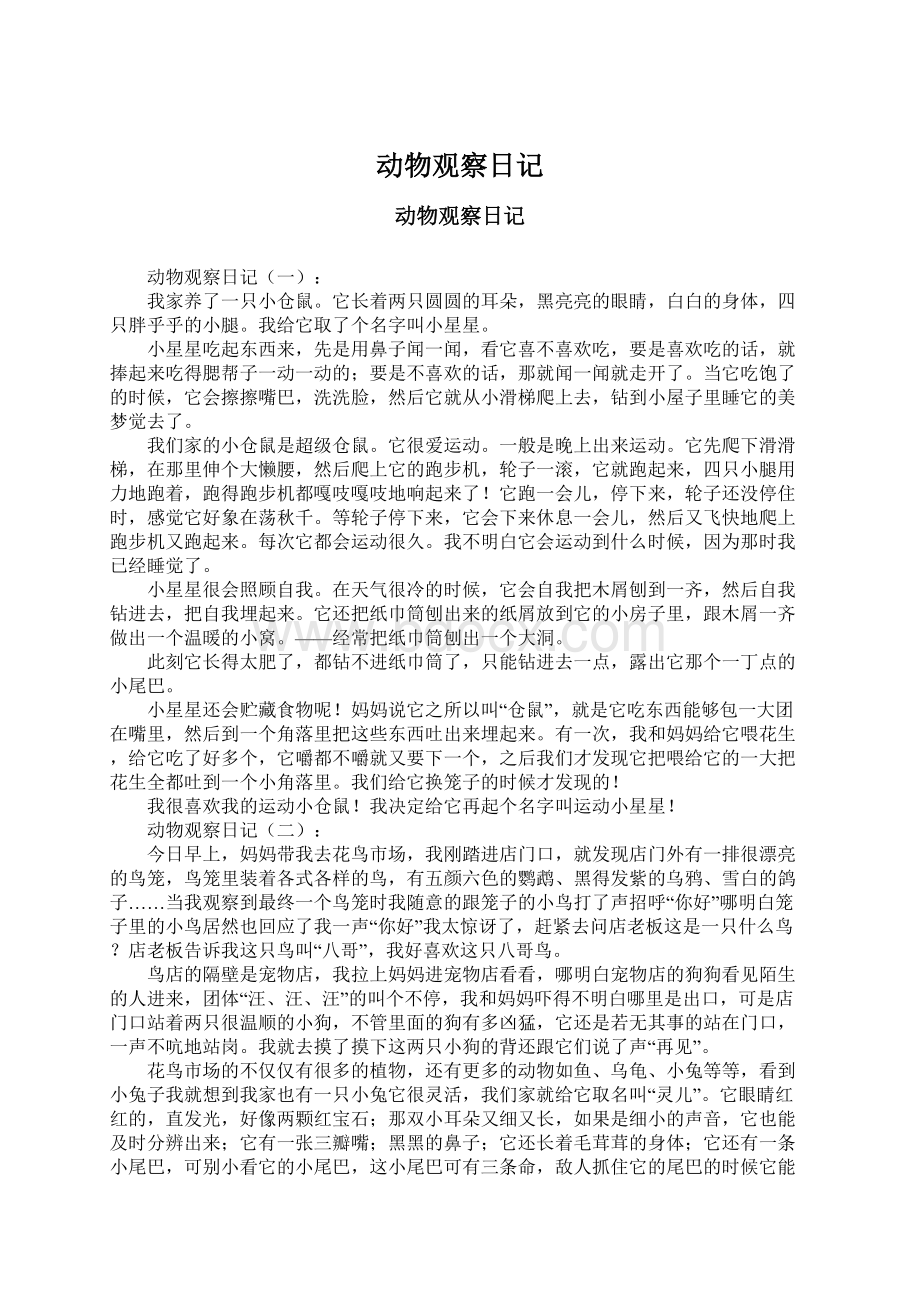 动物观察日记Word格式文档下载.docx_第1页