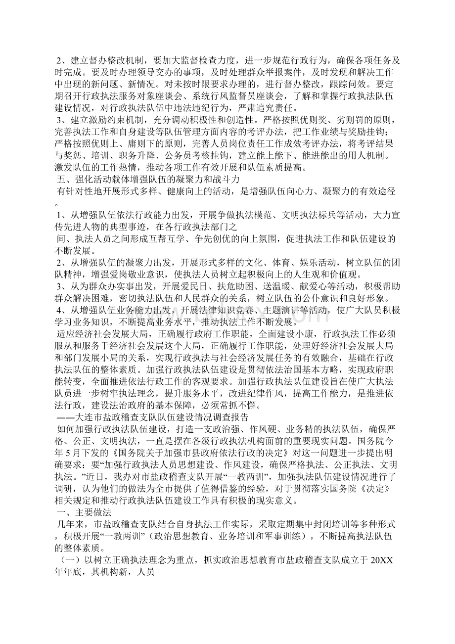 如何加强行政执法队伍建设.docx_第3页