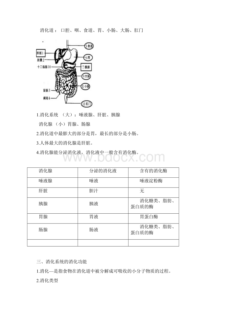 生物参考资料期中复习.docx_第2页