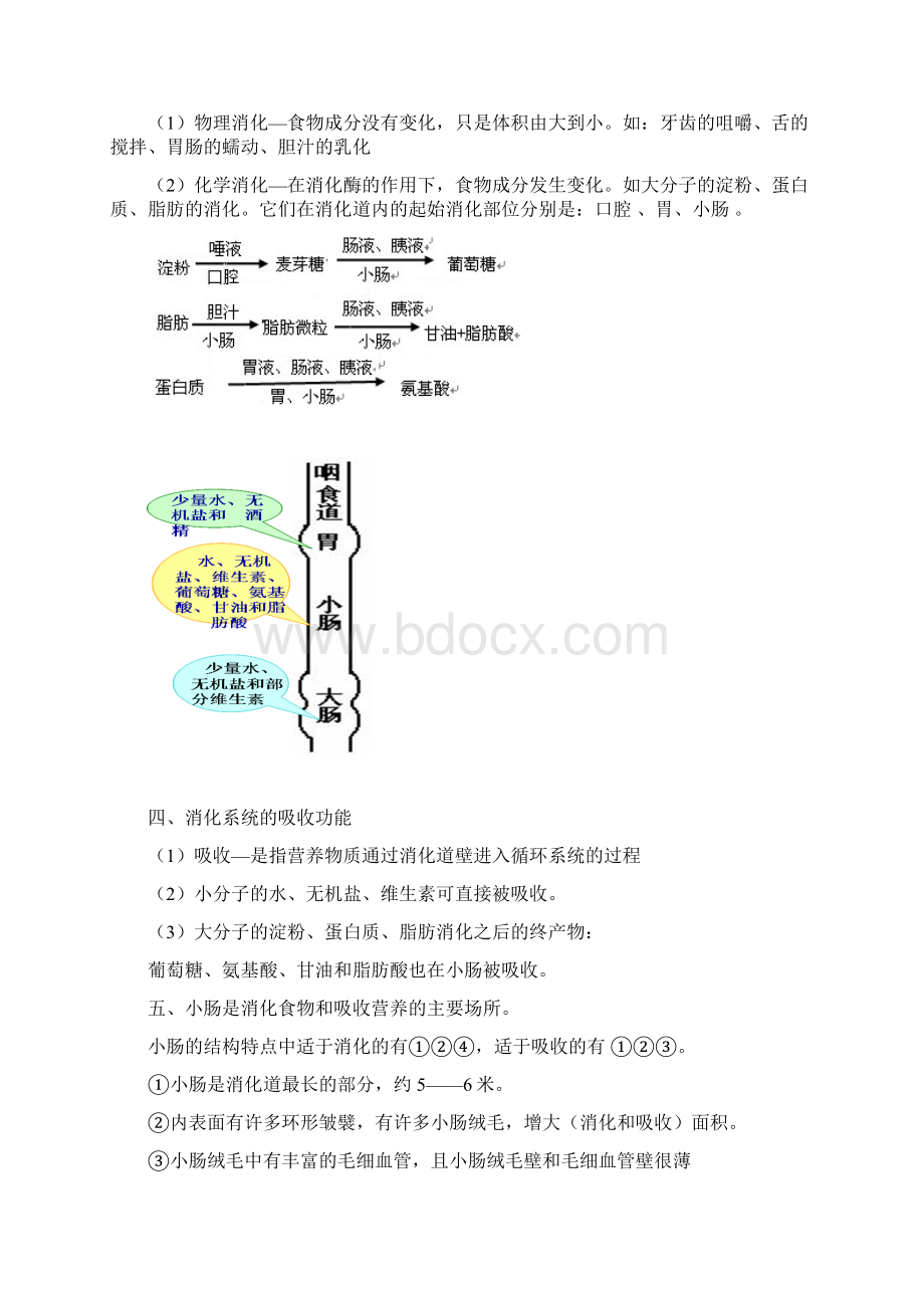 生物参考资料期中复习.docx_第3页