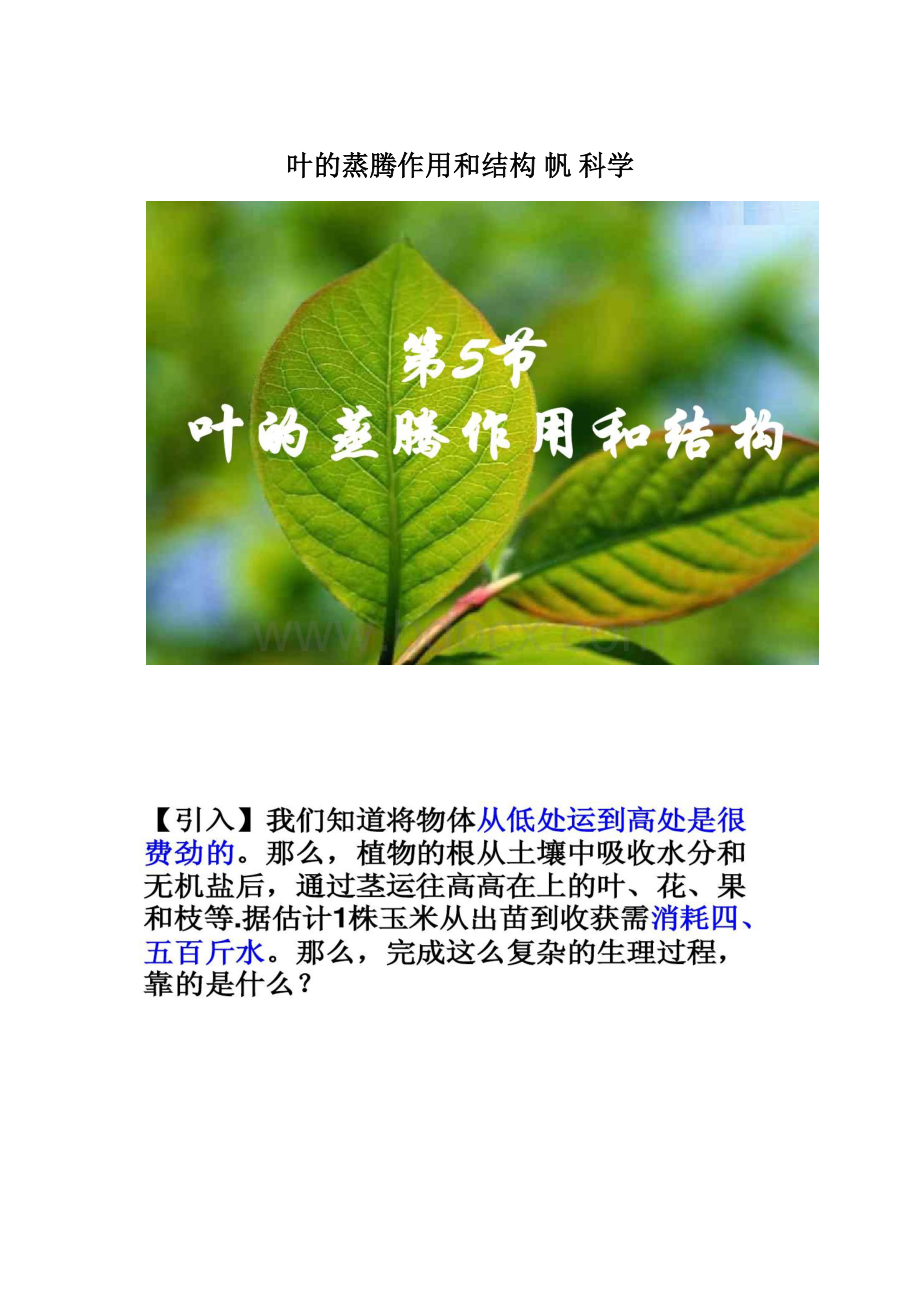 叶的蒸腾作用和结构帆科学.docx