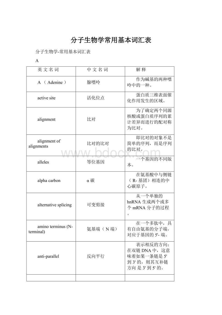 分子生物学常用基本词汇表Word下载.docx