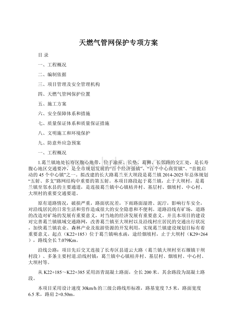 天燃气管网保护专项方案.docx_第1页