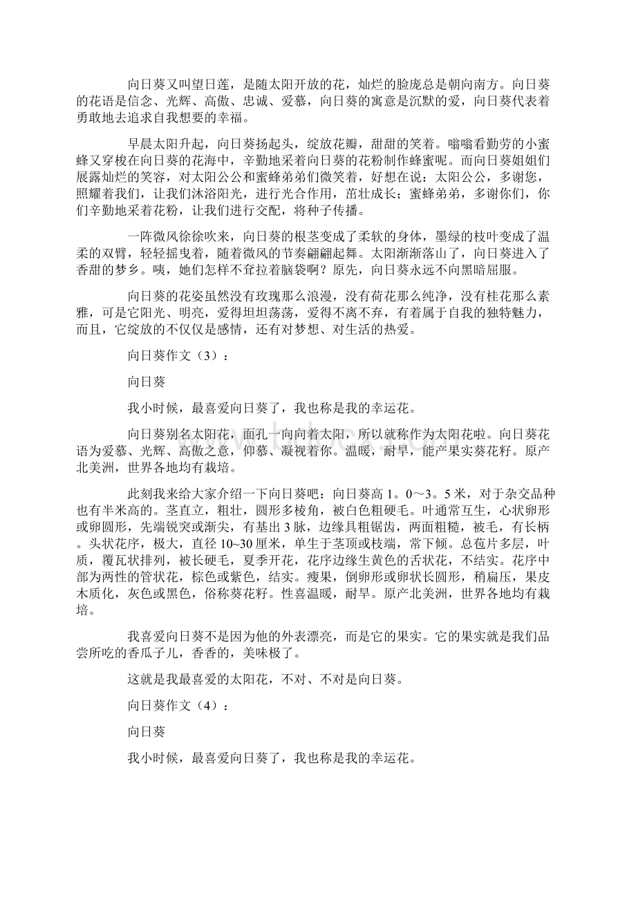 向日葵作文20篇精华版文档格式.docx_第2页