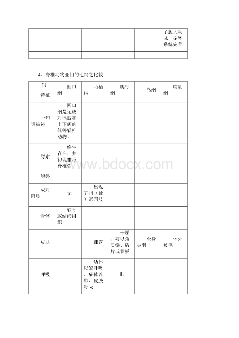 脊索动物门总结Word文档格式.docx_第2页