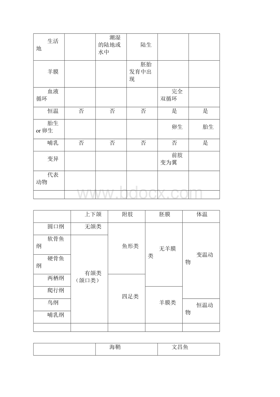 脊索动物门总结Word文档格式.docx_第3页