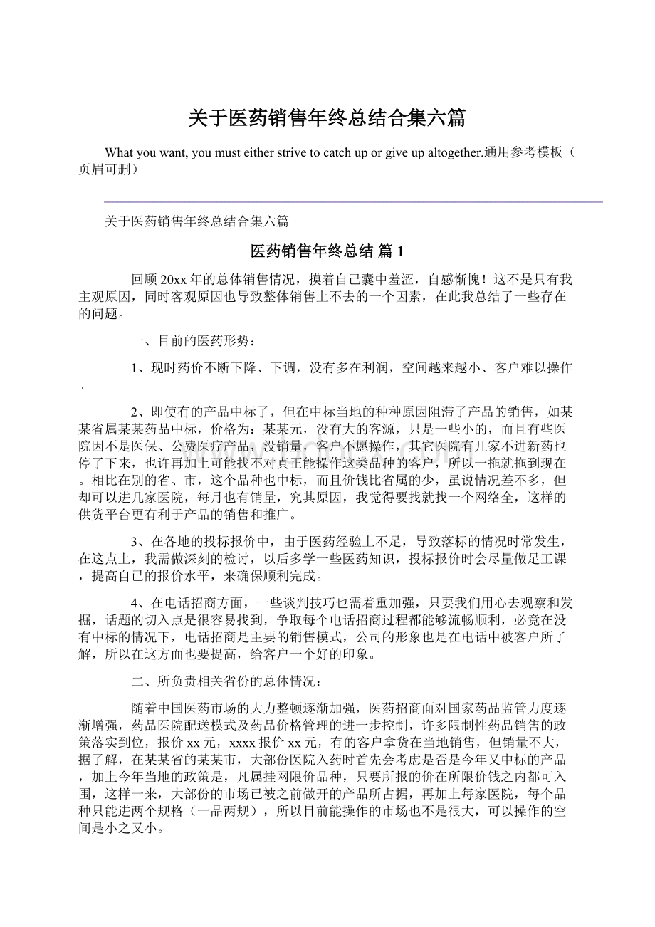 关于医药销售年终总结合集六篇Word文档格式.docx