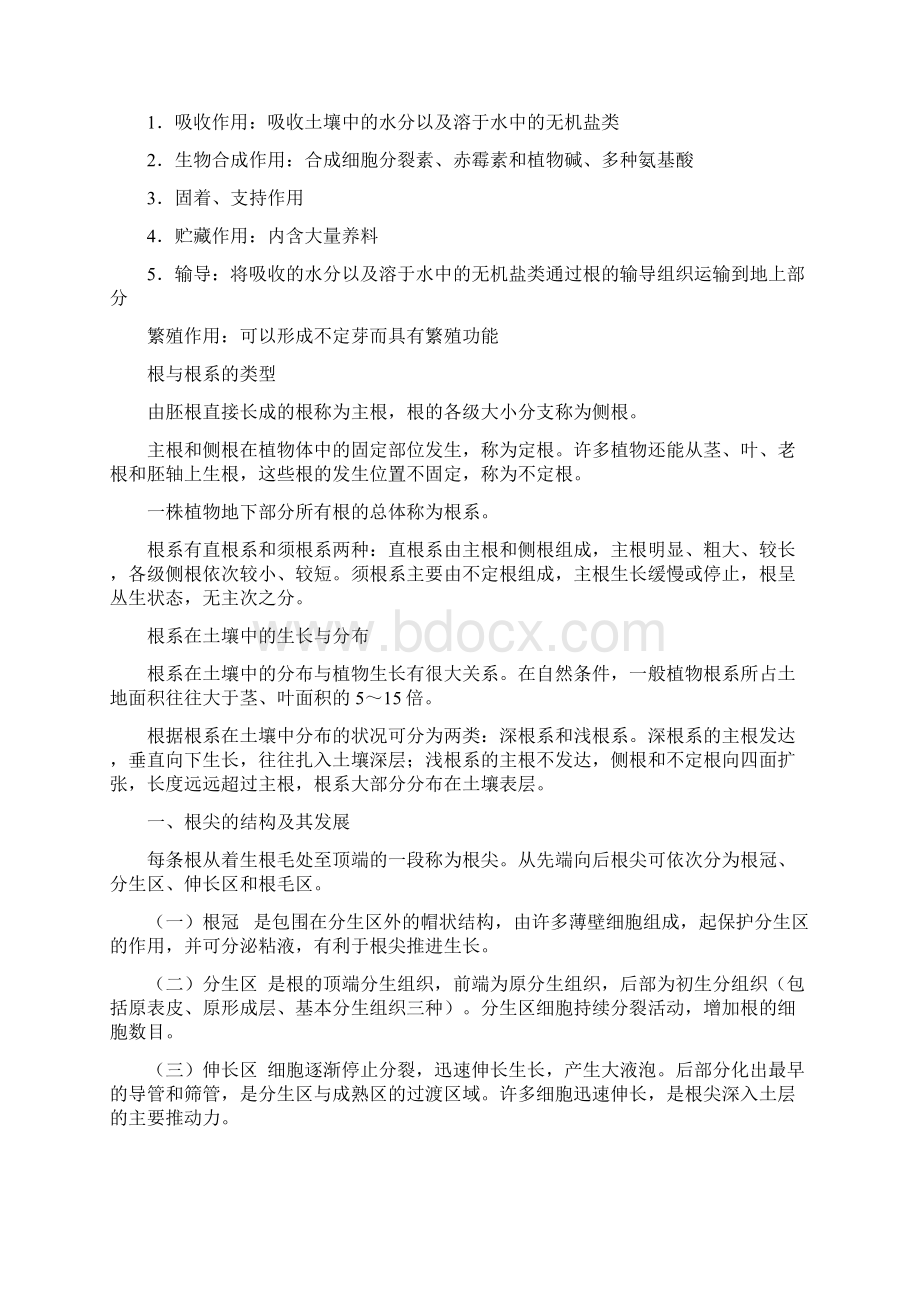 第二章被子植物营养器官的形态结构和功能.docx_第2页