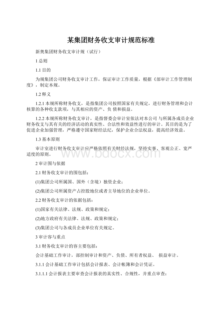 某集团财务收支审计规范标准.docx_第1页