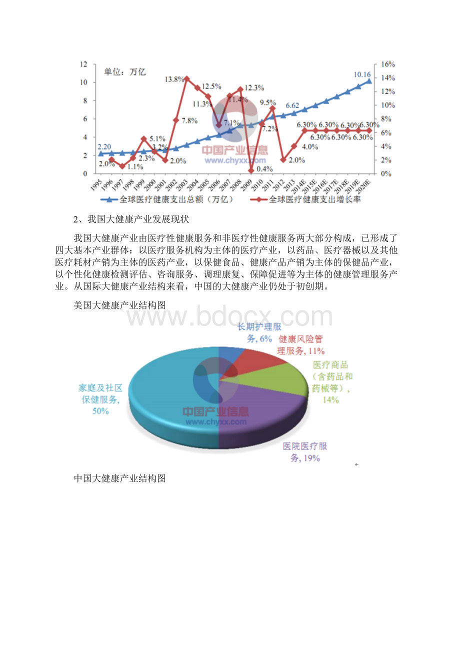 大健康产业分析报告.docx_第2页