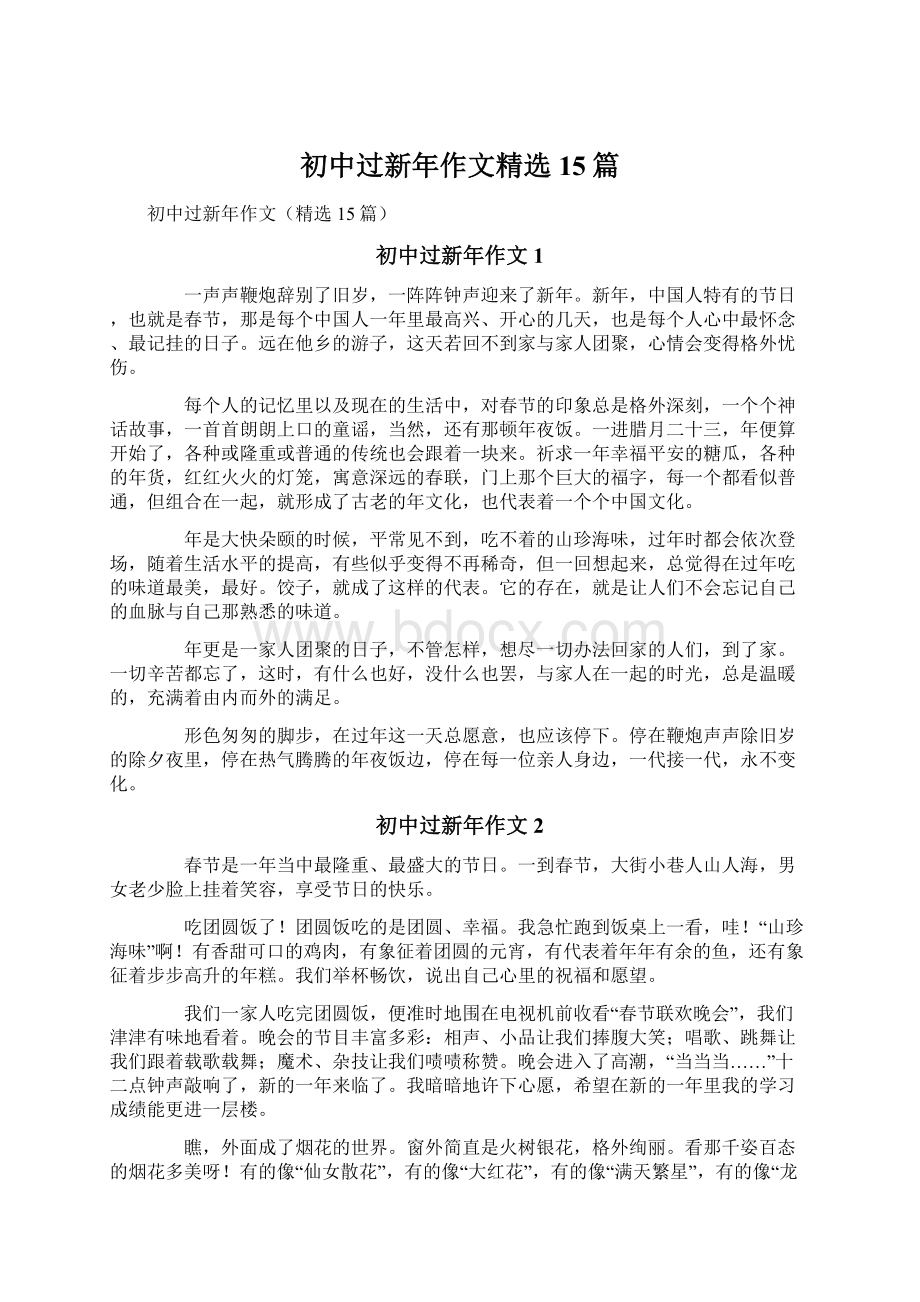 初中过新年作文精选15篇.docx