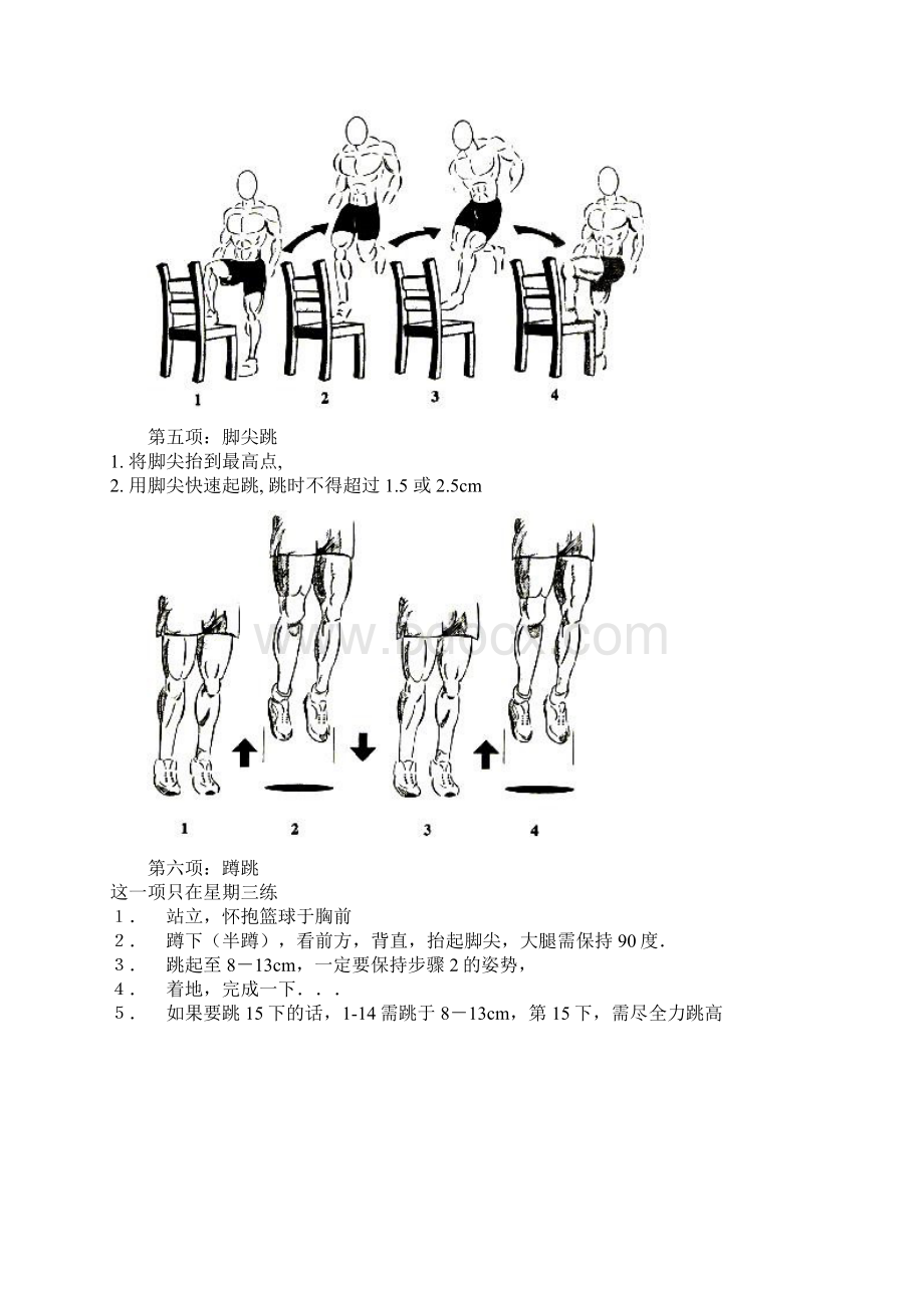 美国弹跳训练权威资料.docx_第3页