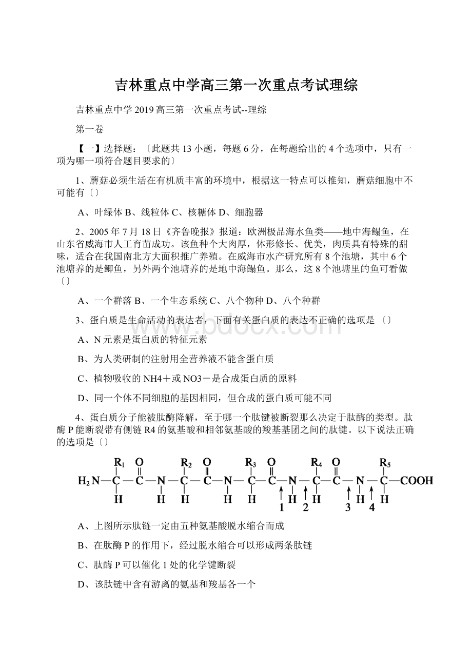 吉林重点中学高三第一次重点考试理综.docx