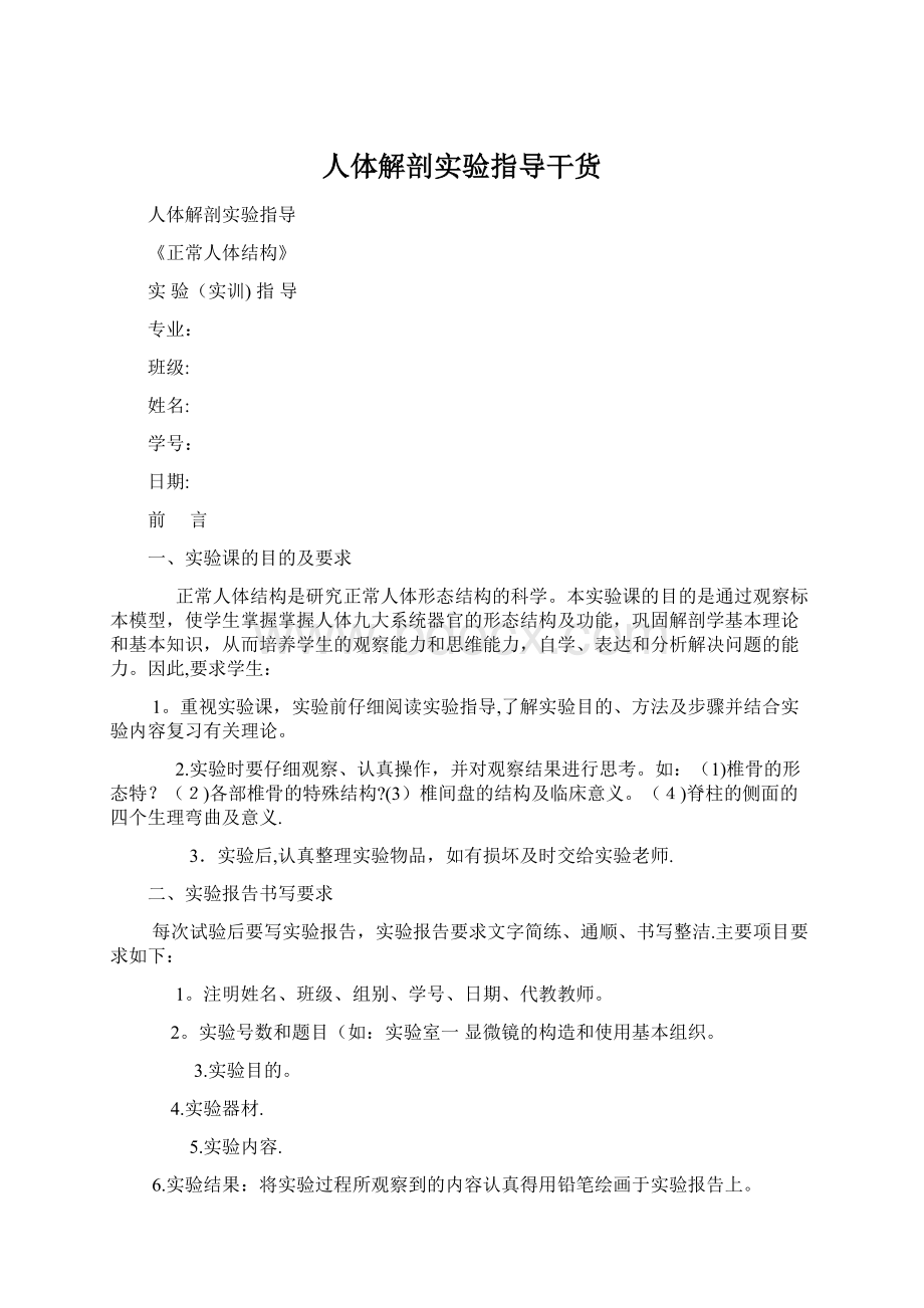 人体解剖实验指导干货Word下载.docx_第1页