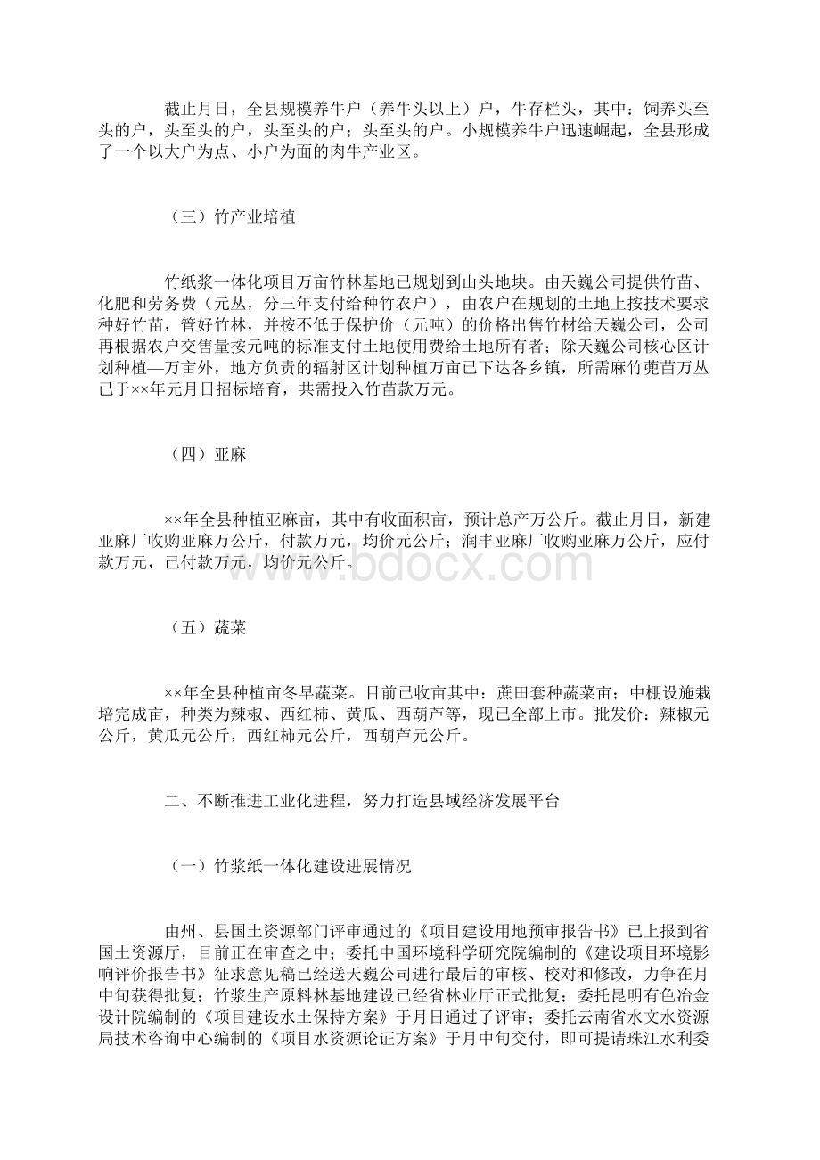 县政府关于年月重点工作的情况报告.docx_第2页