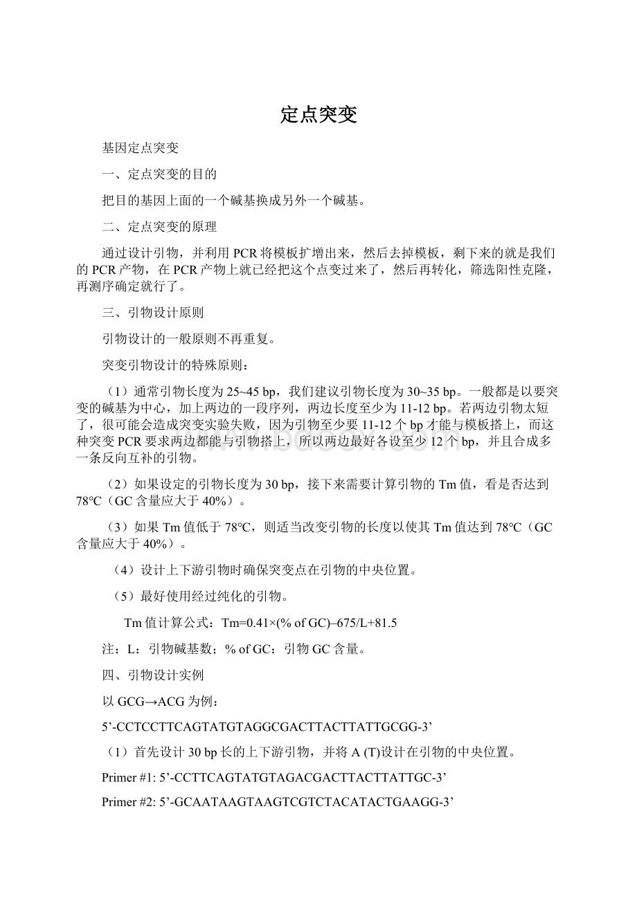 定点突变Word格式文档下载.docx