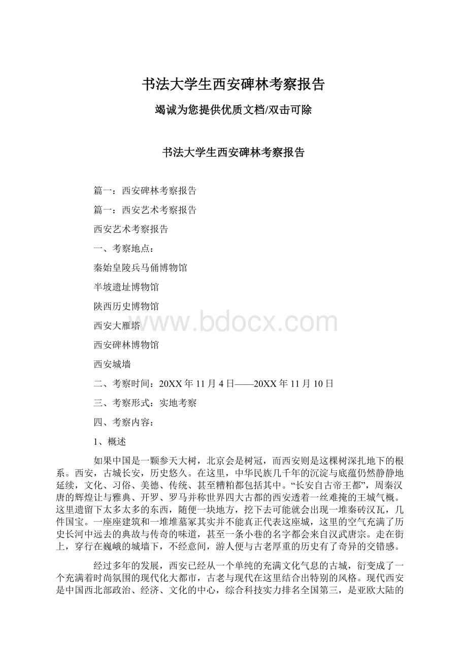 书法大学生西安碑林考察报告.docx