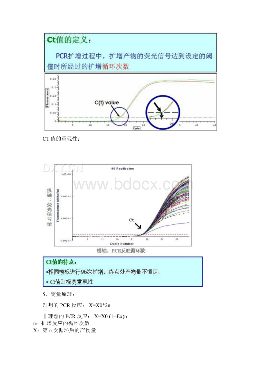 realtimePCR和RTPCR详解及其区别要点Word文档格式.docx_第3页