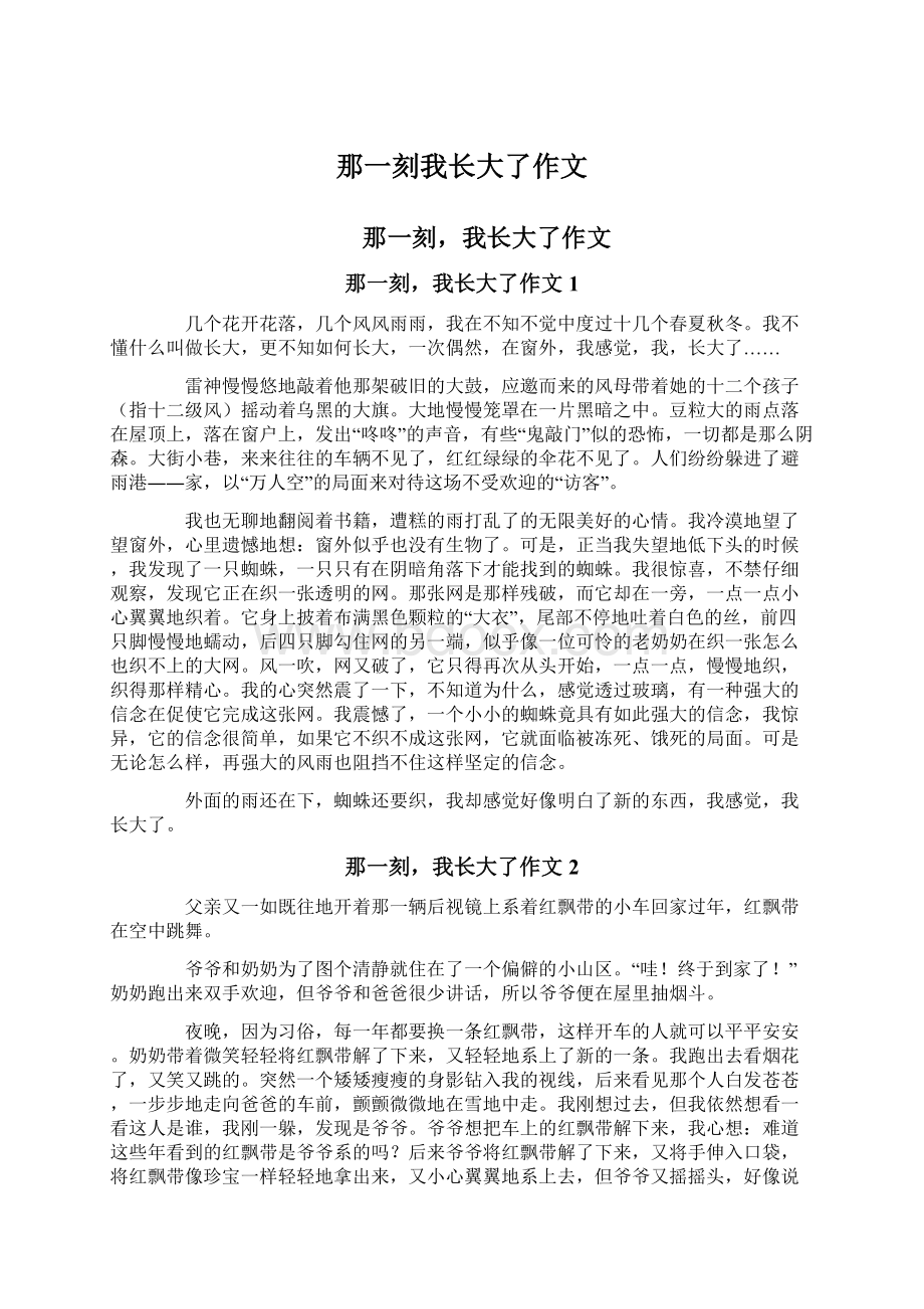 那一刻我长大了作文.docx