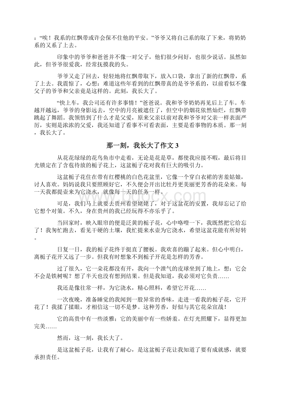 那一刻我长大了作文.docx_第2页