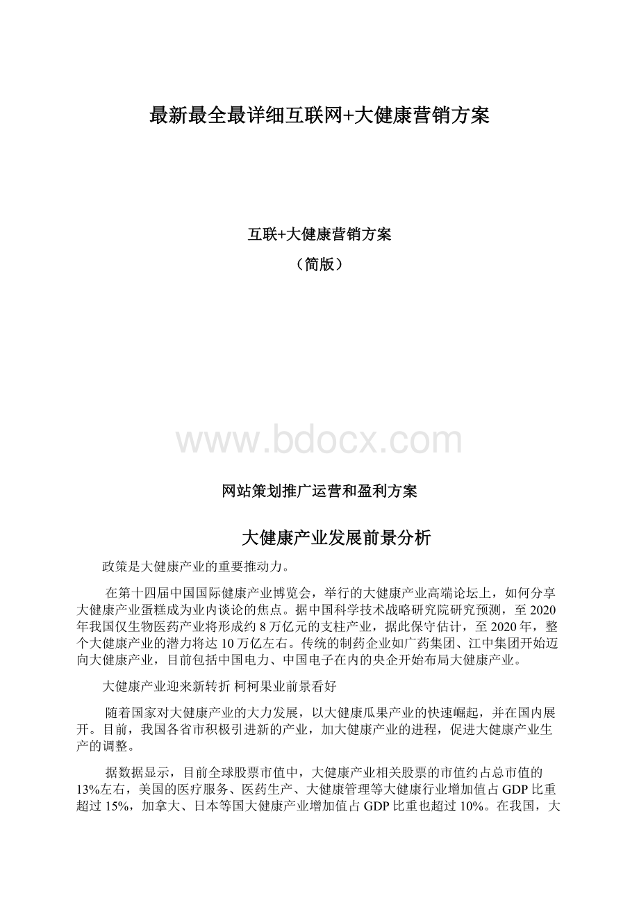 最新最全最详细互联网+大健康营销方案Word格式文档下载.docx