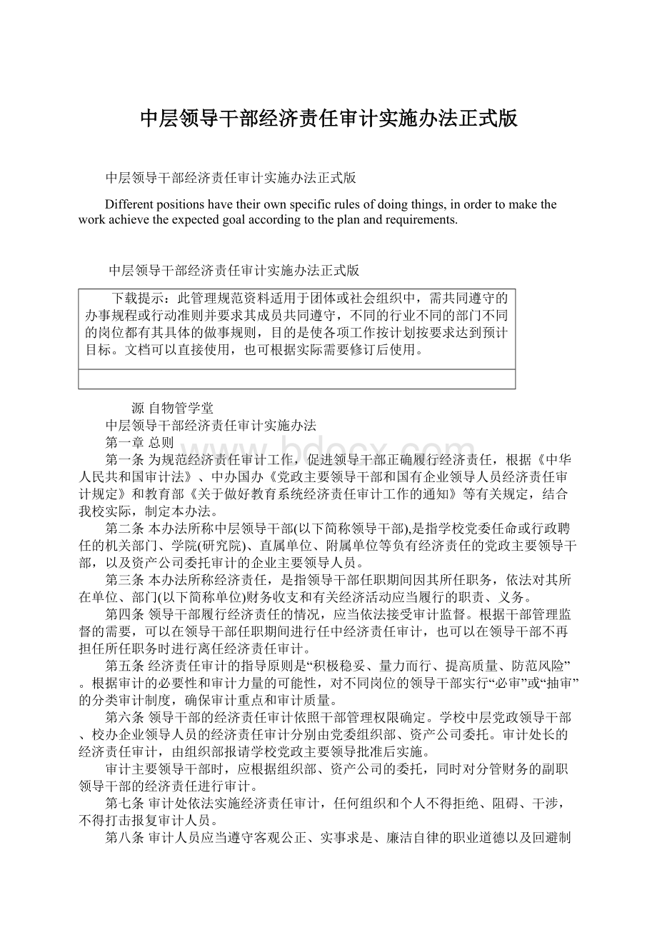 中层领导干部经济责任审计实施办法正式版文档格式.docx