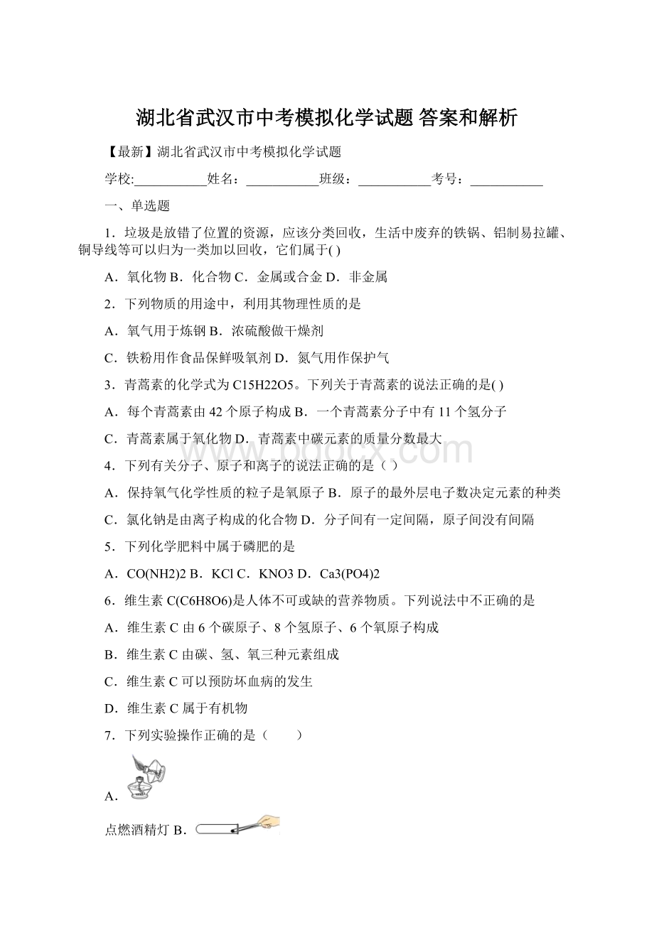 湖北省武汉市中考模拟化学试题 答案和解析Word下载.docx