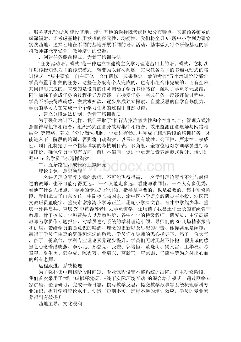 中小学骨干教师培养对象培训总结.docx_第2页