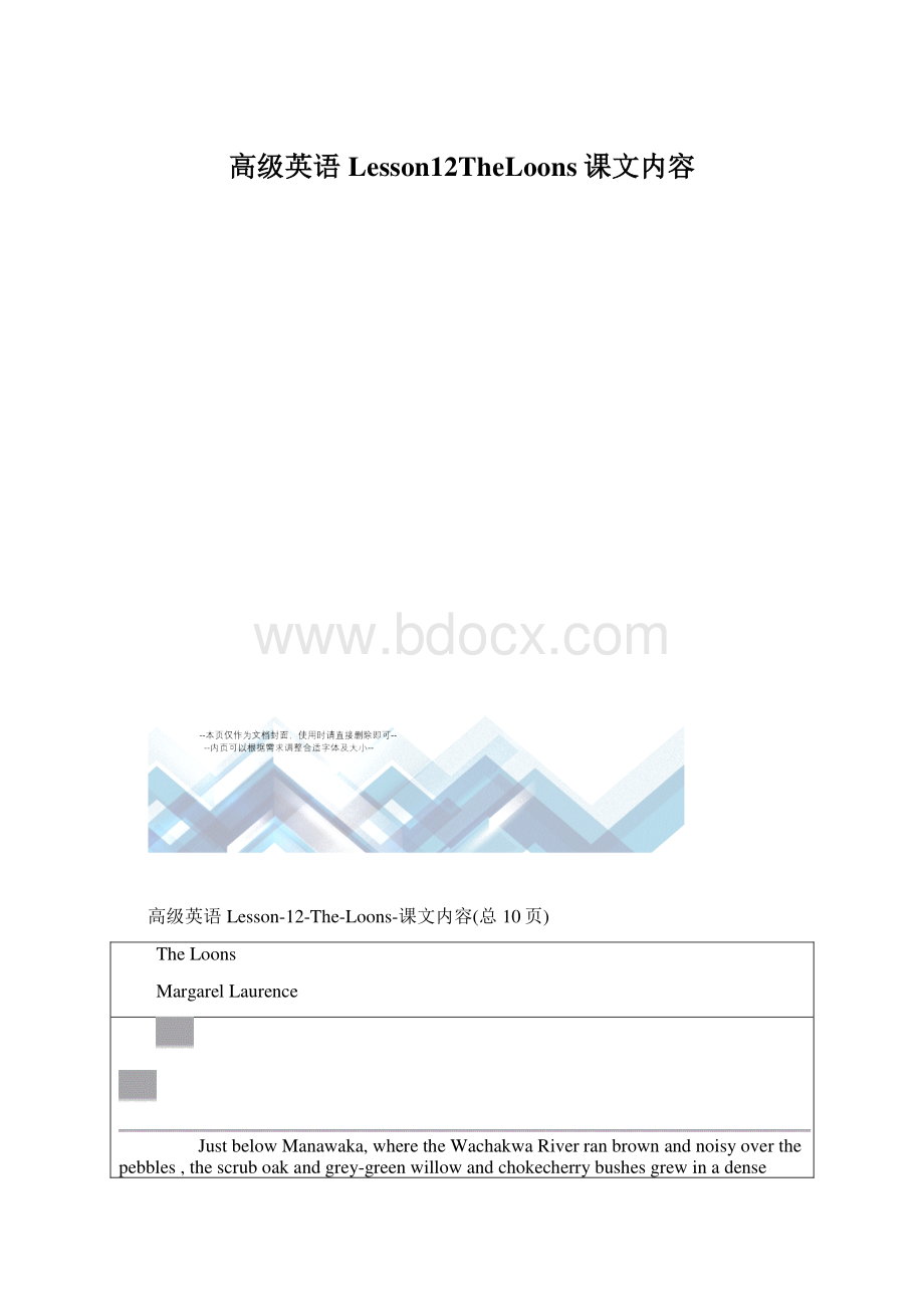 高级英语Lesson12TheLoons课文内容Word下载.docx