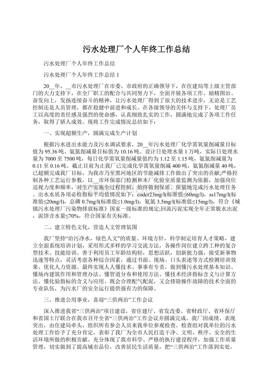 污水处理厂个人年终工作总结文档格式.docx