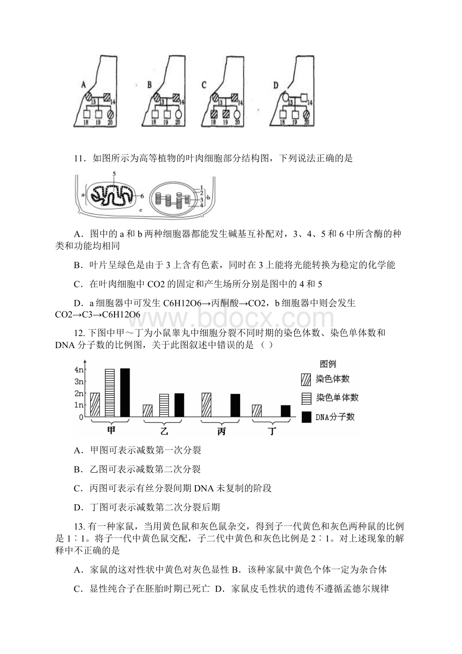 高三生物第五次月考试题文档 带答案和答题纸文档格式.docx_第3页