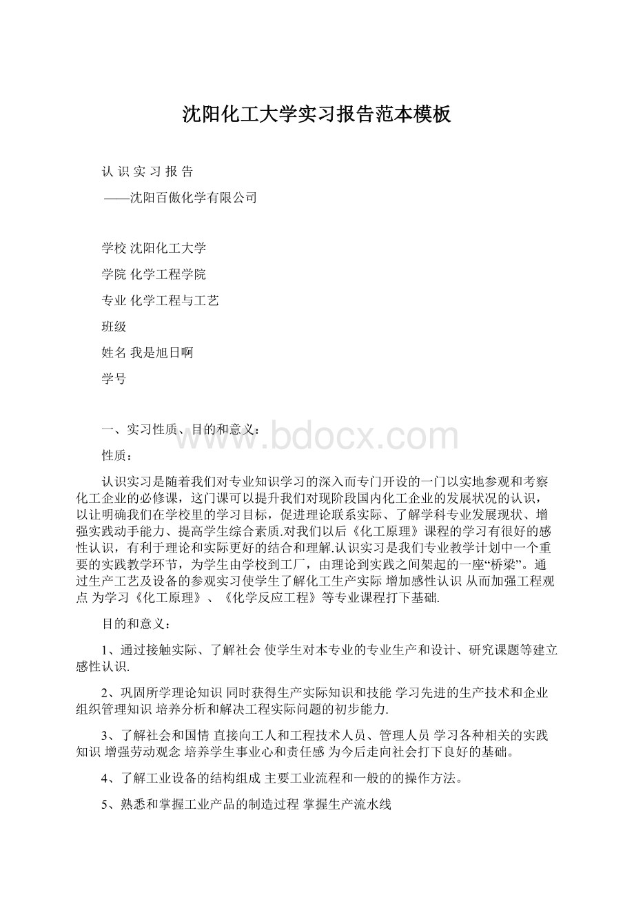 沈阳化工大学实习报告范本模板Word格式文档下载.docx