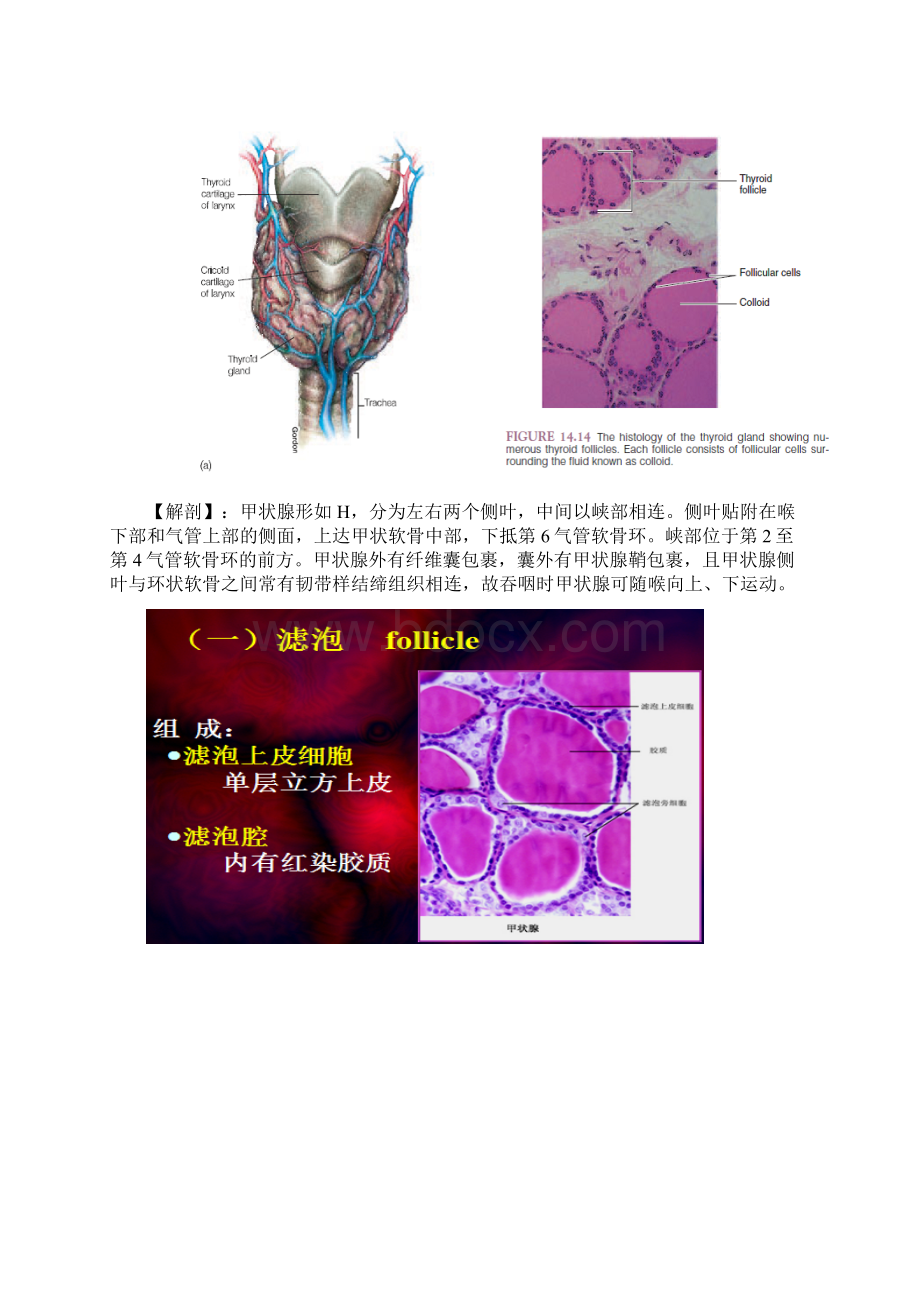 甲亢总结Word.docx_第3页