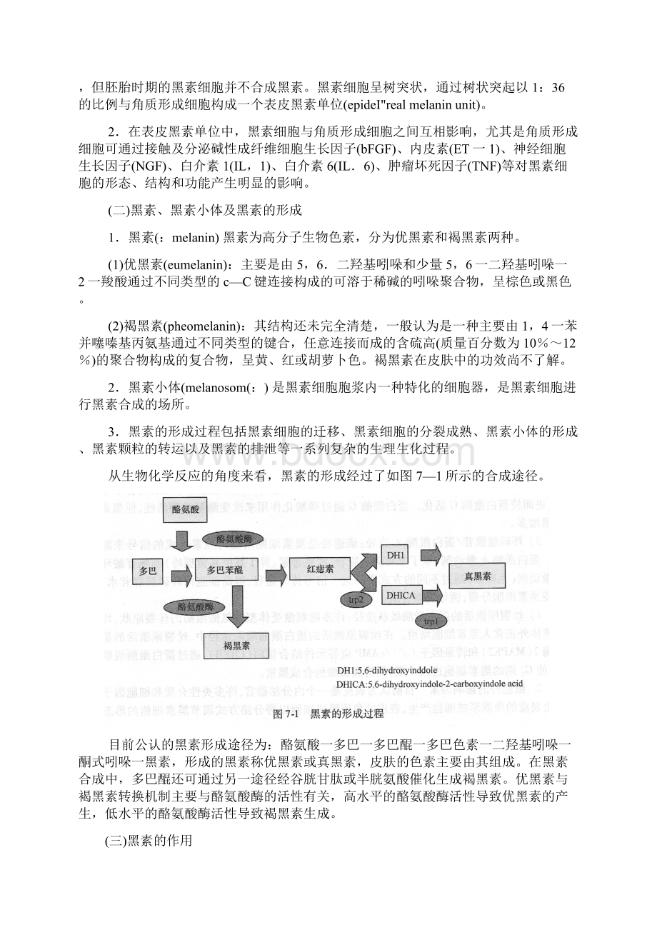 第07章 美白祛斑类化妆品.docx_第2页