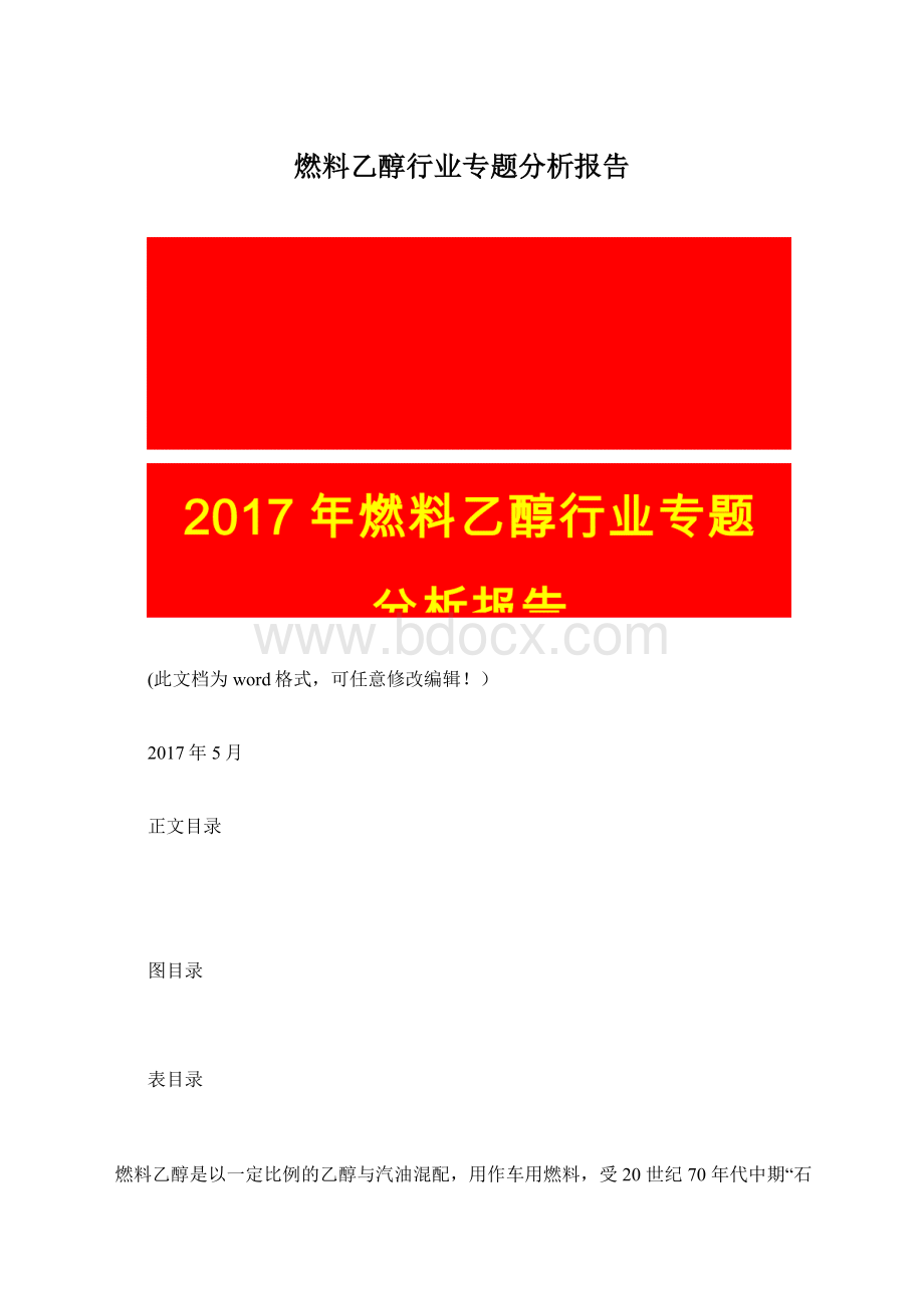 燃料乙醇行业专题分析报告Word格式.docx_第1页