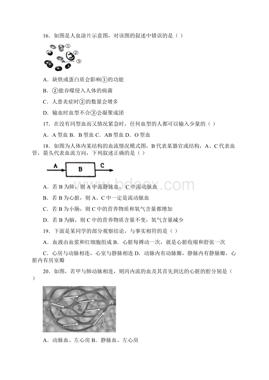 甘肃省靖远县学年七年级第二学期期中联考生物试题.docx_第3页