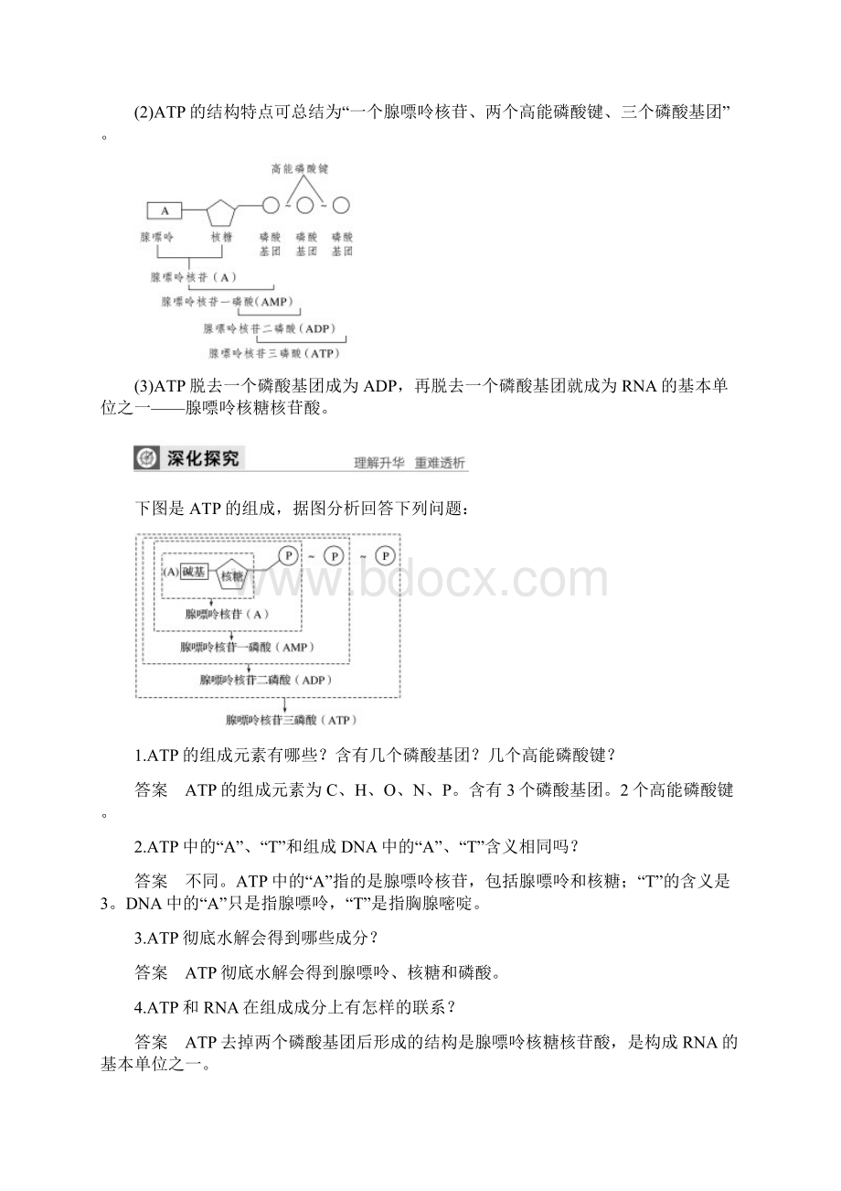 版高中生物第4章光合作用和细胞呼吸第一节第1课时ATP和酶学案苏教版必修1.docx_第2页