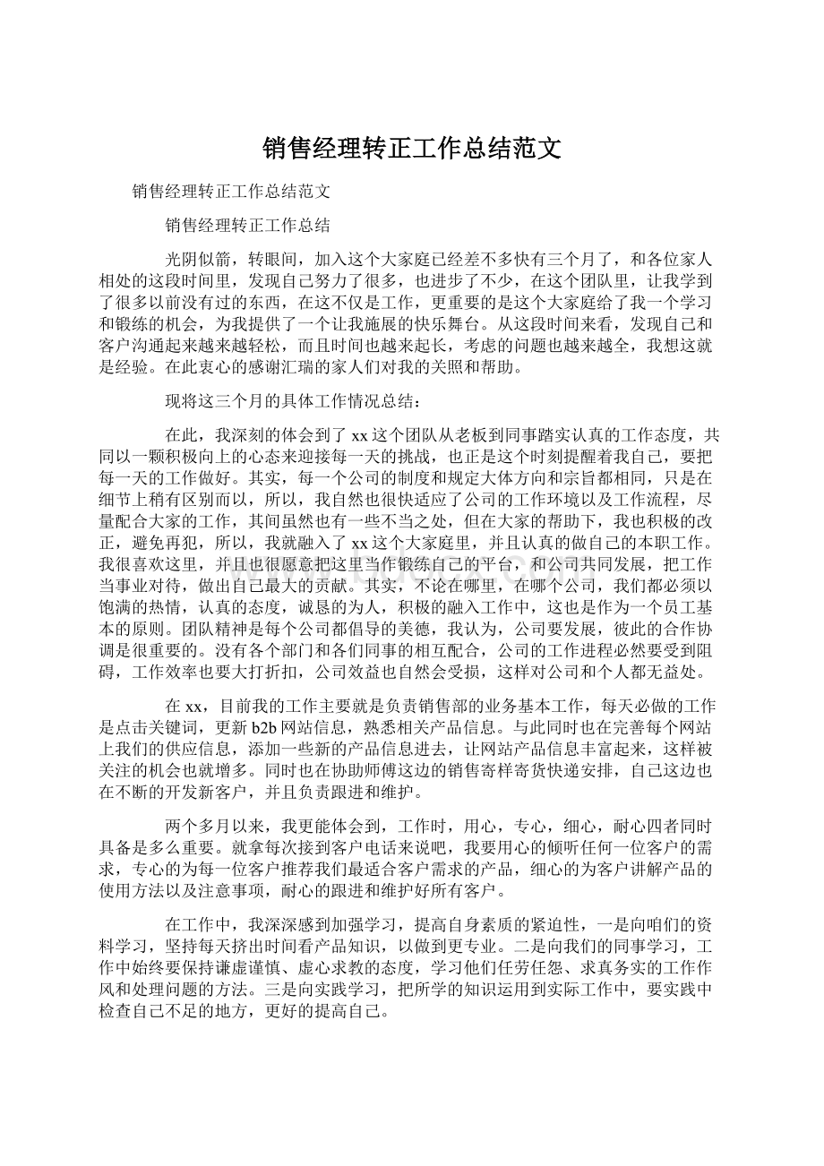 销售经理转正工作总结范文.docx