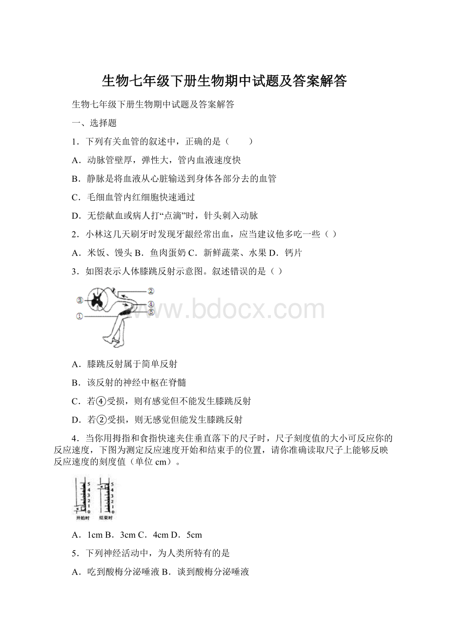 生物七年级下册生物期中试题及答案解答.docx_第1页