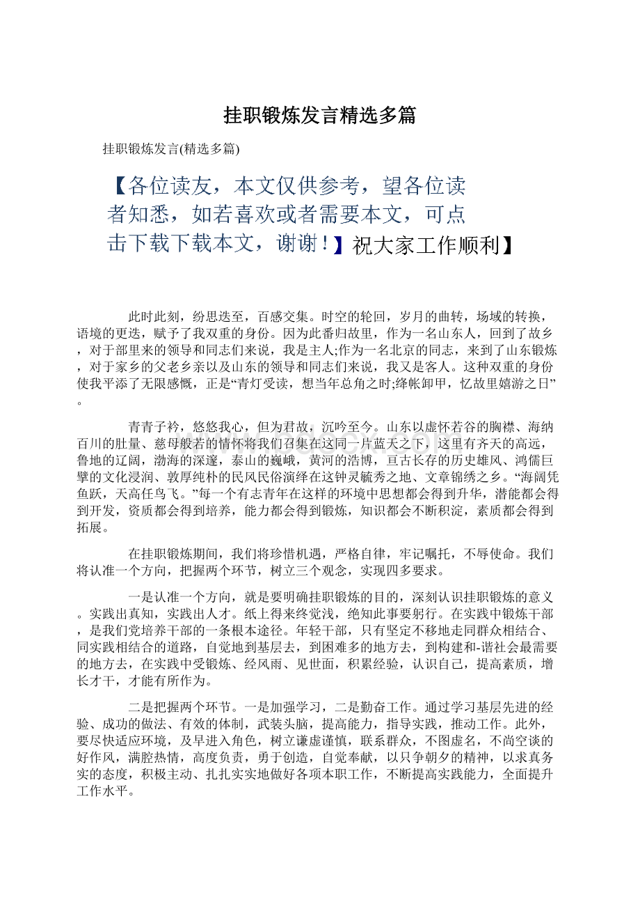 挂职锻炼发言精选多篇.docx_第1页