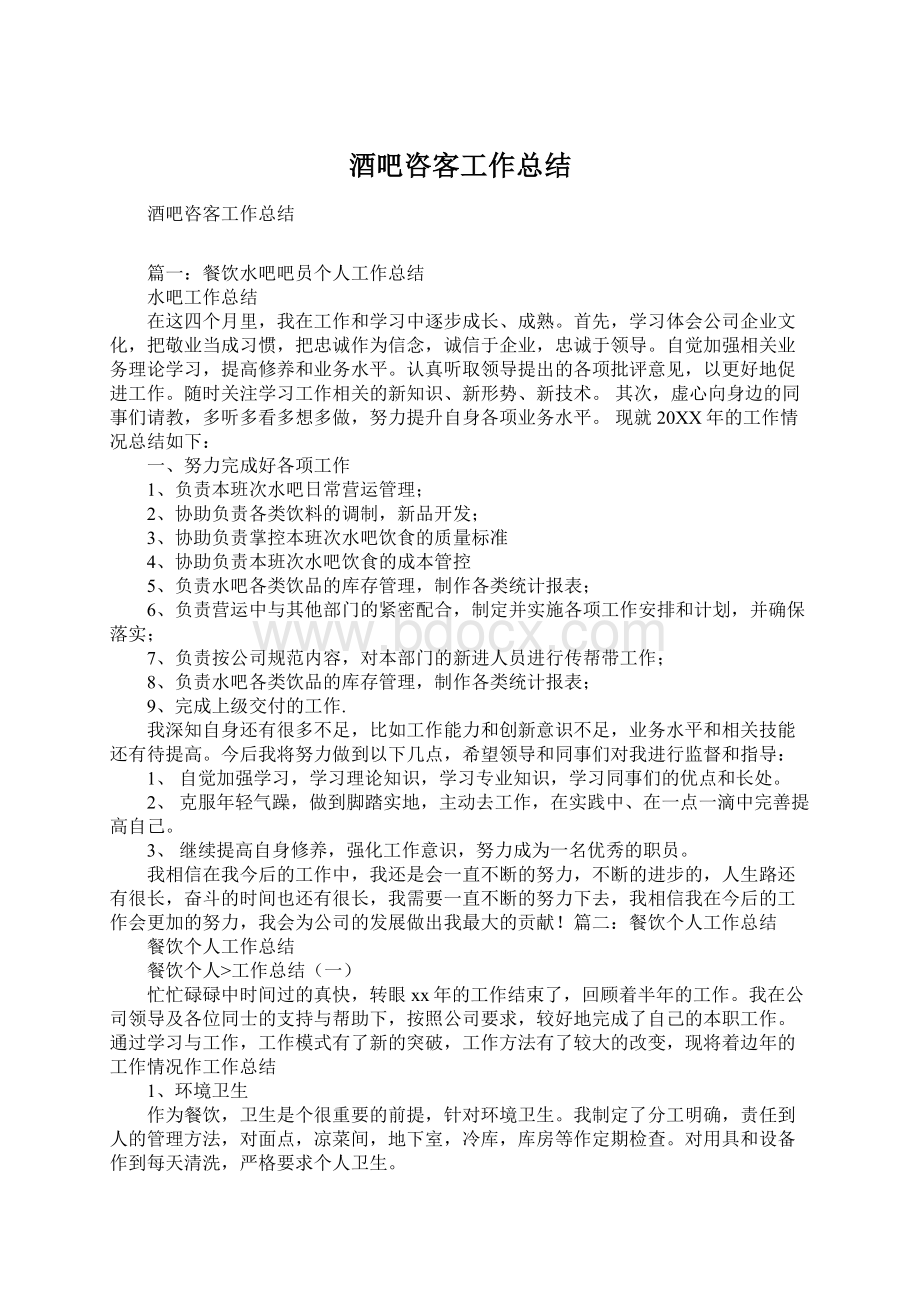 酒吧咨客工作总结文档格式.docx