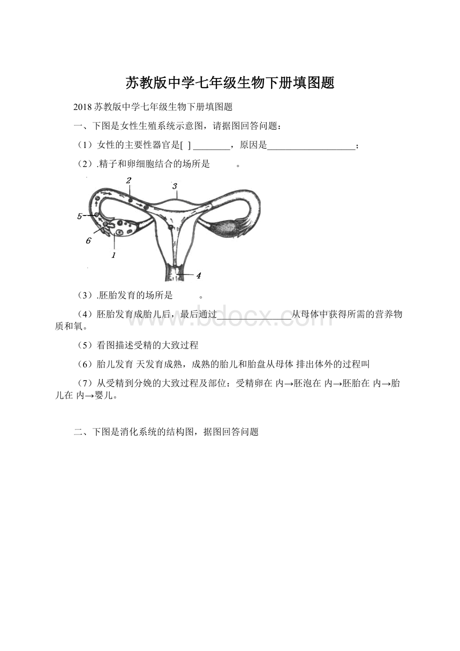 苏教版中学七年级生物下册填图题Word文件下载.docx_第1页